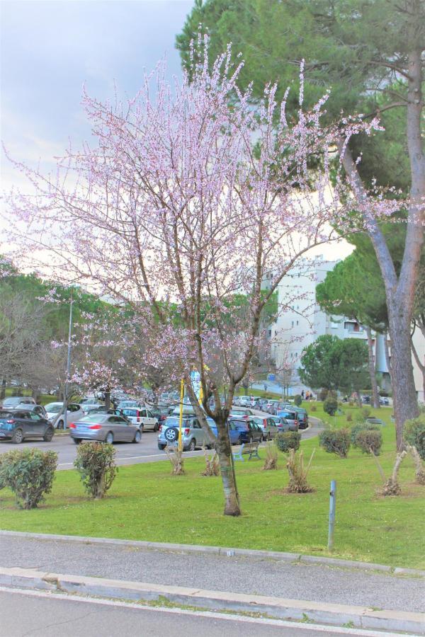 Cuore Di Serpentara Apartment Roma Ngoại thất bức ảnh